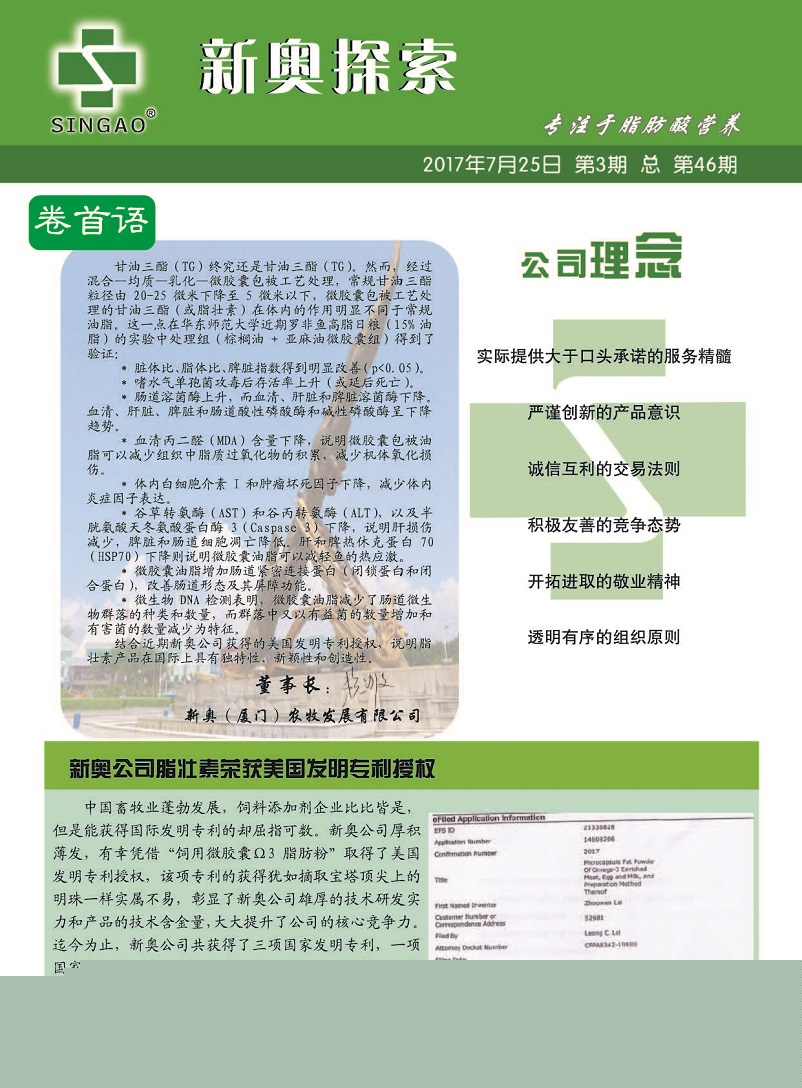 2025新澳天天开奖资料大全仔细释义、解释与落实、构建解答解释落实